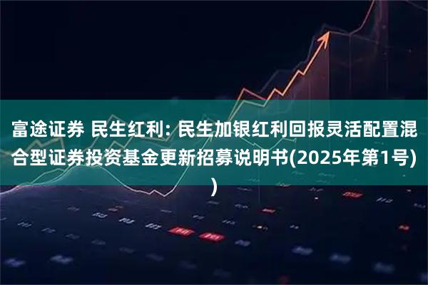 富途证券 民生红利: 民生加银红利回报灵活配置混合型证券投资基金更新招募说明书(2025年第1号)