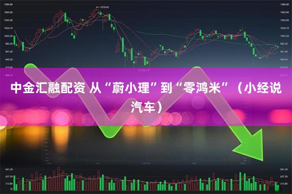 中金汇融配资 从“蔚小理”到“零鸿米”（小经说汽车）
