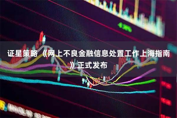 证星策略 《网上不良金融信息处置工作上海指南》正式发布