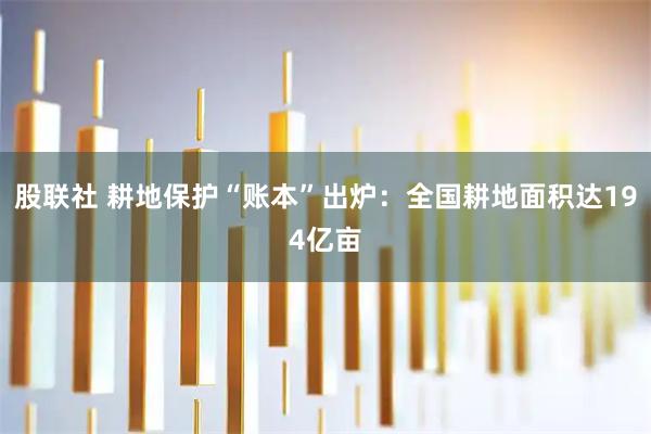 股联社 耕地保护“账本”出炉：全国耕地面积达194亿亩